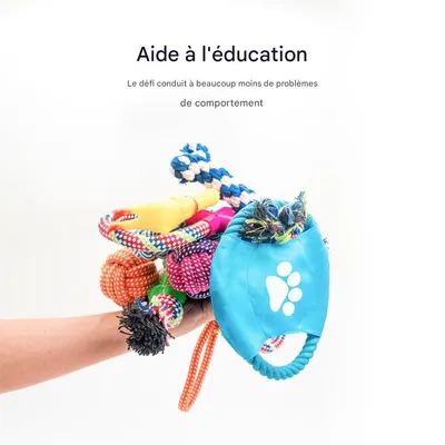 IntiMeg Kit de jouets pour chiens