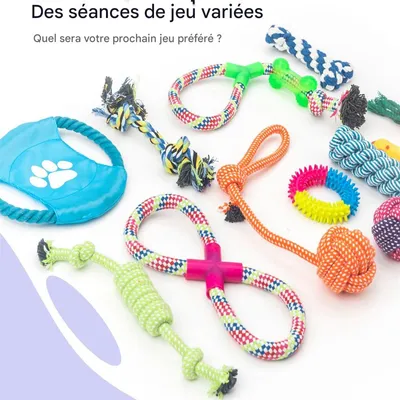 IntiMeg Kit de jouets pour chiens