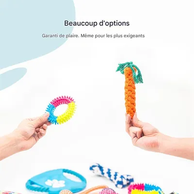 IntiMeg Kit de jouets pour chiens