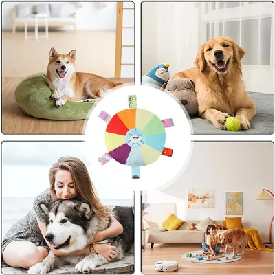 IntiMeg 4 Pièces Jouet frisbee pour chien