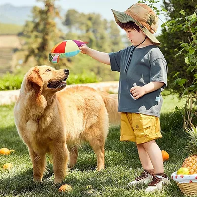 IntiMeg 4 Pièces Jouet frisbee pour chien