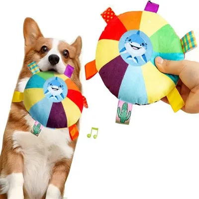 IntiMeg 4 Pièces Jouet frisbee pour chien