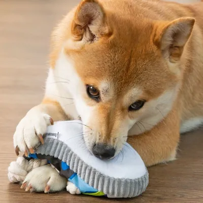 ZenPets Jouet pantoufle pour chien