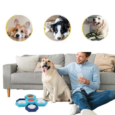 ZenPets Jouet pour chien à 4 niveaux pour alimentation lente