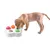 IntiMeg Jouet intelligent pour chats et chiens