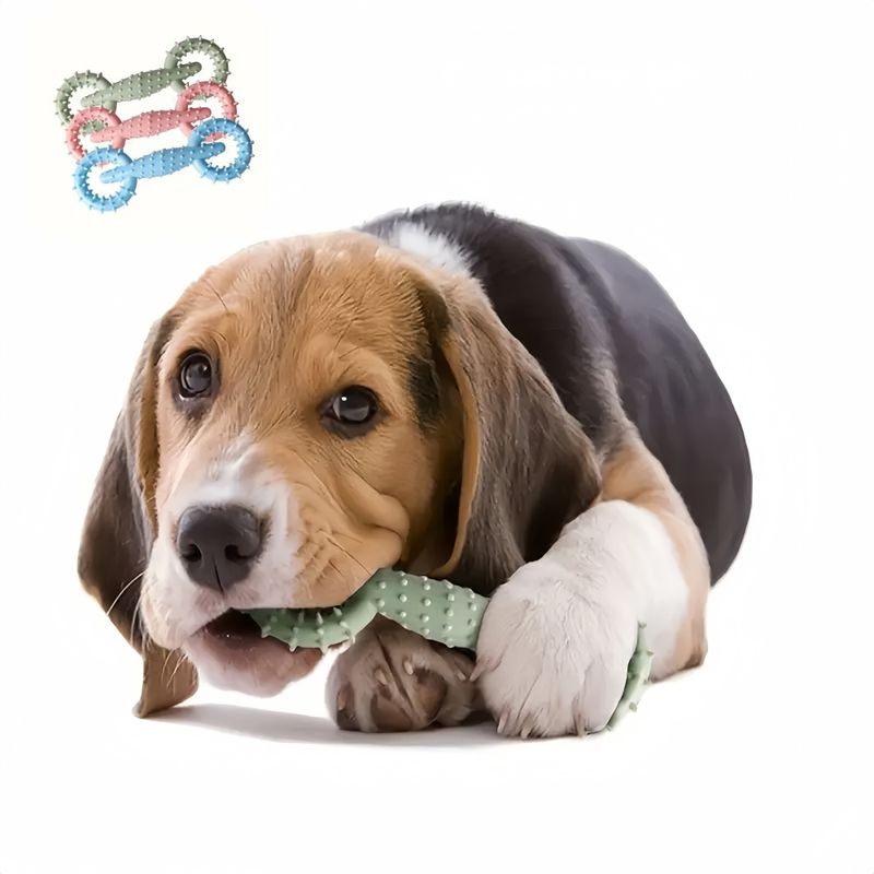 ZenPets Jouet à mâcher en TPR pour chien 3 articles