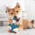 ZenPets Jouet pour chien résistant aux mordilles