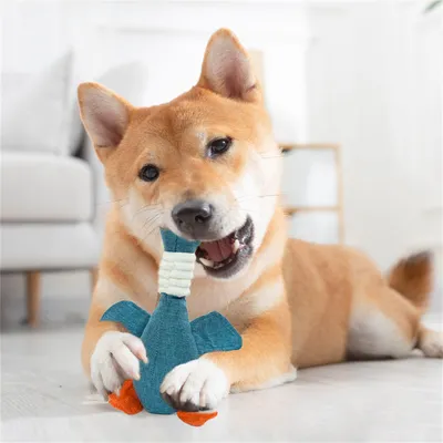 ZenPets Jouet pour chien résistant aux mordilles