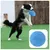 ZenPets Disque volant pour chiens