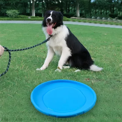 ZenPets Disque volant pour chiens