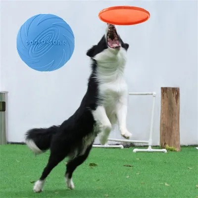 ZenPets Disque volant pour chiens