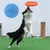 ZenPets Disque volant pour chiens