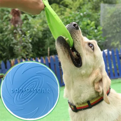 ZenPets Disque volant pour chiens