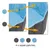 Yaheetech Piscine Portable pour Chien