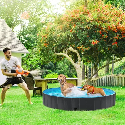 Piscine Pour Chien Pliable, Baignoire Portable Antidérapant Et Résistant
