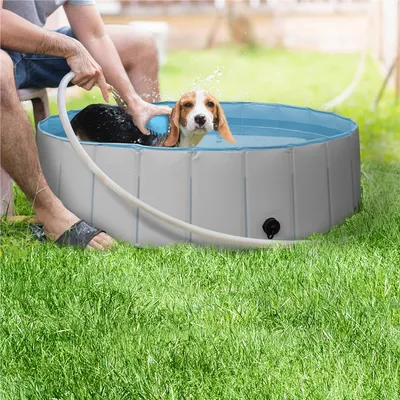 Piscine Pour Chien Pliable Pataugeoire Portable Antidérapant Et Résistant