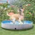 Yaheetech Piscine Portable pour Chien