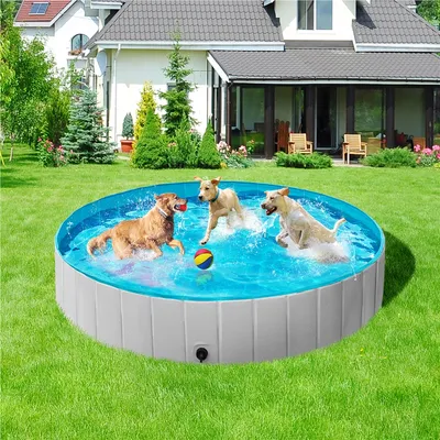 Piscine Pour Chien Pliable Pataugeoire Portable Antidérapant Et Résistant