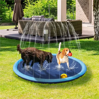 Piscine à Jets D'eau Pour Chien, Piscine D'arrosage 170 Cm De Diamètre,