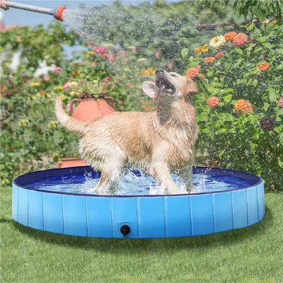 Piscine Pour Chien Pliable Pataugeoire Portable Antidérapant Et Résistant