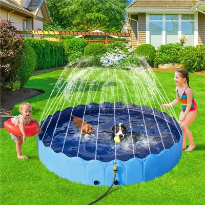 Piscine Pour Chien Pliable, Baignoire Portable Antidérapant Et Résistant