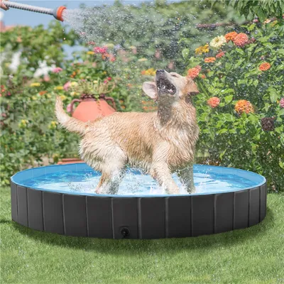 Piscine Pour Chien Pliable Pataugeoire Portable Antidérapant Et Résistant