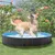 Yaheetech Piscine Portable pour Chien