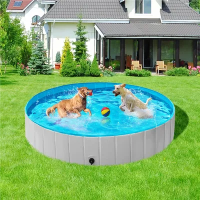 Piscine Pour Chien Pliable Pataugeoire Portable Antidérapant Et Résistant