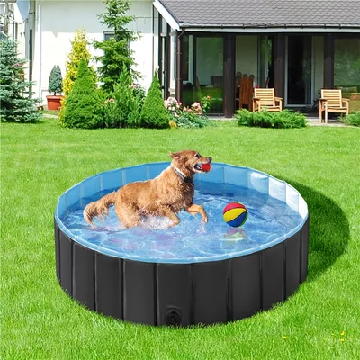 Piscine Pour Chien Pliable Pataugeoire Portable Antidérapant Et Résistant