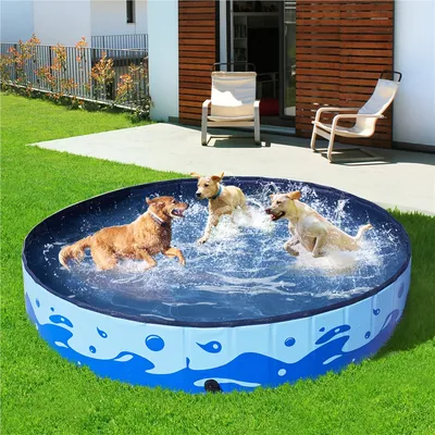 Piscine Pour Chien Pliable, Baignoire Portable Antidérapant Et Résistant