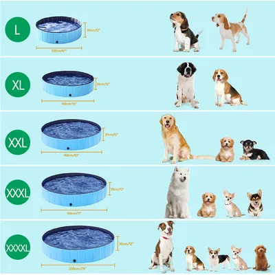 Yaheetech Piscine Portable pour Chien