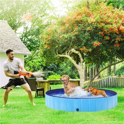 Piscine Pour Chien Pliable, Baignoire Portable Antidérapant Et Résistant