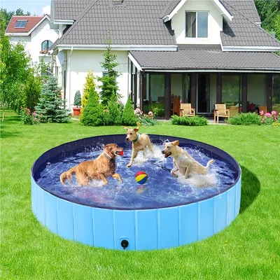 Piscine Pour Chien Pliable, Baignoire Portable Antidérapant Et Résistant
