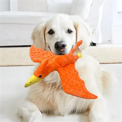 IntiMeg Jouet en peluche - Ptérodactyle pour chiens