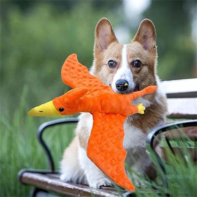 IntiMeg Jouet en peluche - Ptérodactyle pour chiens