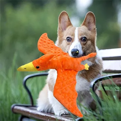 IntiMeg Jouet en peluche - Ptérodactyle pour chiens