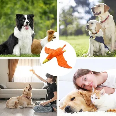 IntiMeg Jouet en peluche - Ptérodactyle pour chiens