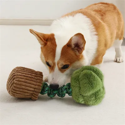 ZenPets Jouets pour chiens en forme de légumes