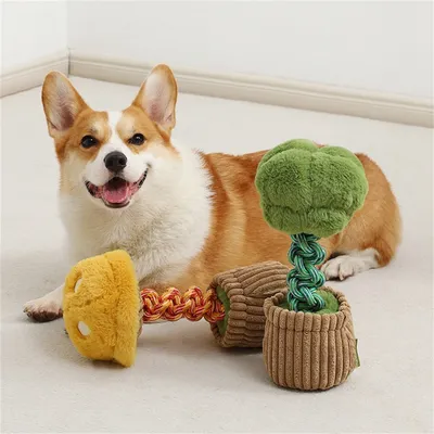 ZenPets Jouets pour chiens en forme de légumes