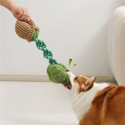 ZenPets Jouets pour chiens en forme de légumes