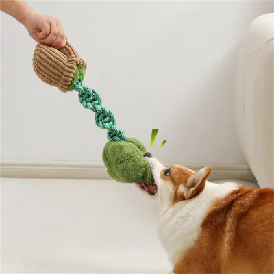 ZenPets Jouets pour chiens en forme de légumes