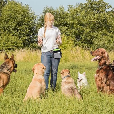 IntiMeg Sac à friandises pour Chien
