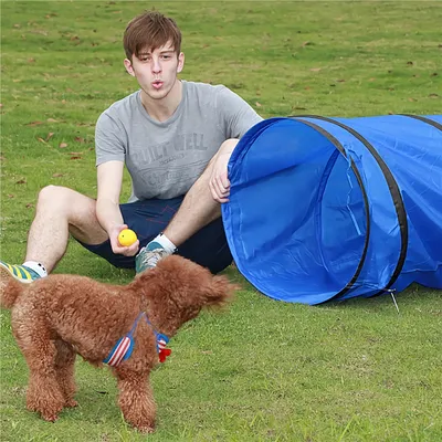 Yaheetech Tunnel Agility Pliable