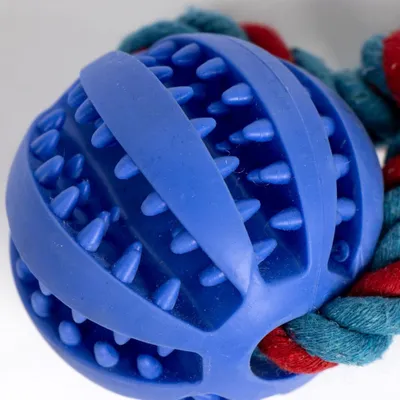 Jouet distributeur de collations avec corde en polyester