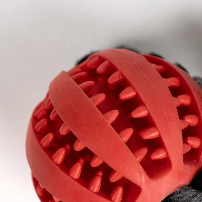 Jouet distributeur de collations avec corde en polyester
