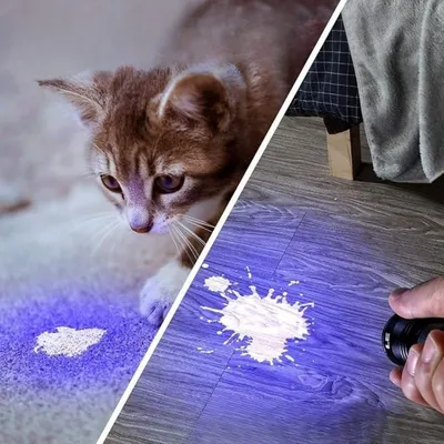 ZenPets Lampe UV multifonctionnelle pour détection chez animaux