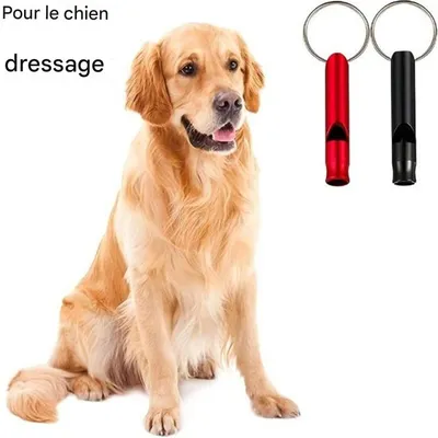 IntiMeg Sifflet de dressage pour animaux de compagnie