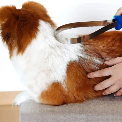 IntiMeg Brosse de toilettage double face pour chien