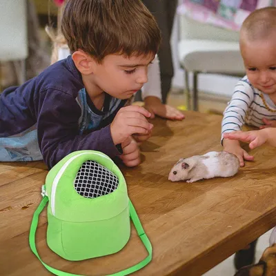 IntiMeg Sac à bandoulière pour petits animaux