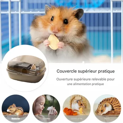 IntiMeg Terrarium pour petits animaux